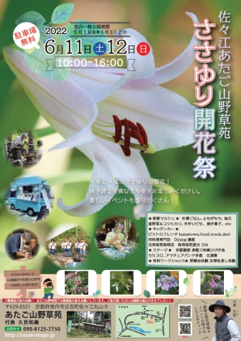掲示板アップロード画像１
