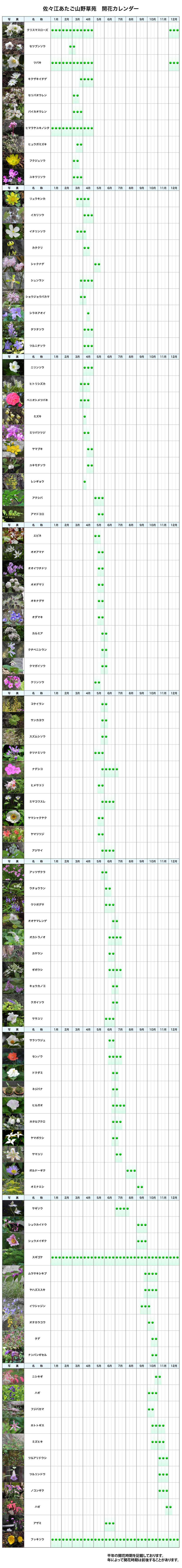 開花カレンダー