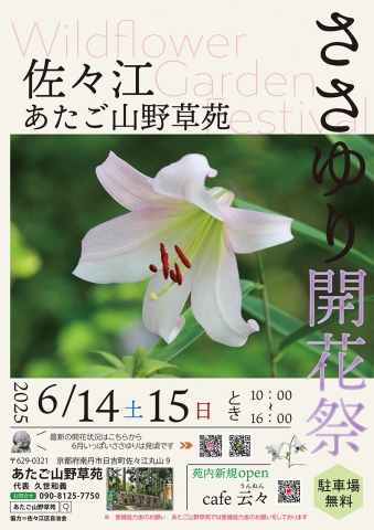 掲示板アップロード画像１